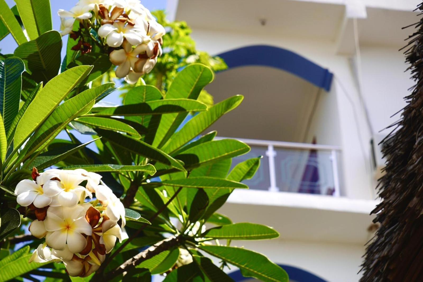 كيندوا Daeli Apartment المظهر الخارجي الصورة